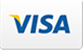 visa icon